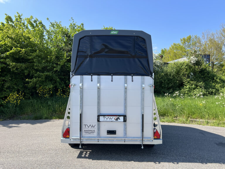 52976334-6.jpg