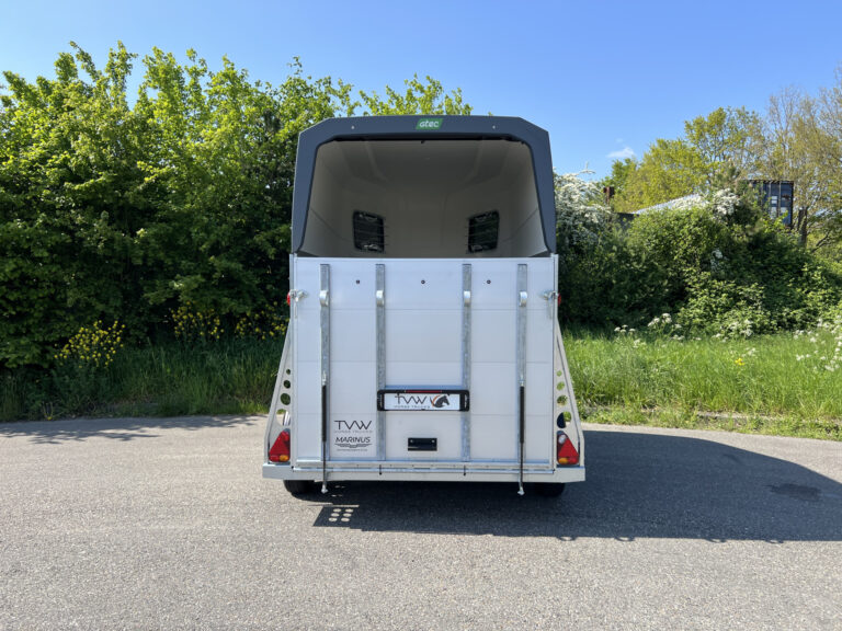 52976334-7.jpg