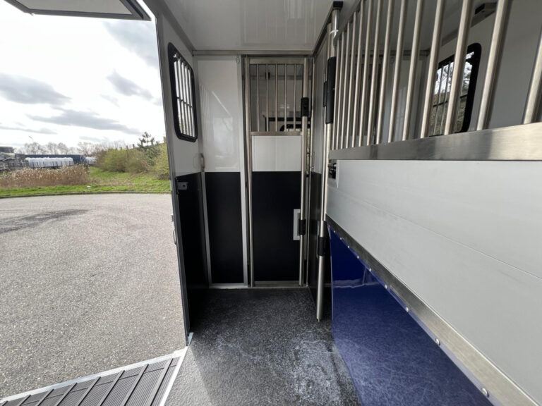 52184964-7.jpg